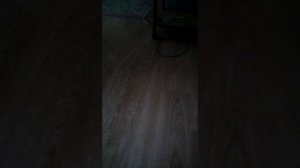 Как вызвать зомби