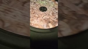 обзор CD дисков гражданской оборона,коммунизм и Егор Летов (выргород)