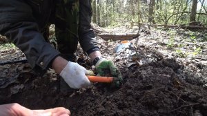 Сигнум МФТ vs Tesoro Tejon на древней селухе.