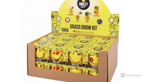 LOVELY KITS FOR GROWING GRASS BY CORPORATE GIFT SUPPLIER JD