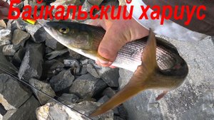 Отдых и рыбалка на хариуса на Байкале в бухте Орсо.