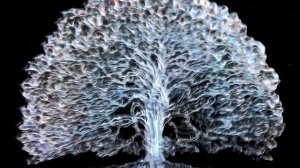 CELESTIAL TREE by Robert Venosa - Mapping/Animation by Gaël Dewas a.k.a. Gamma Delta