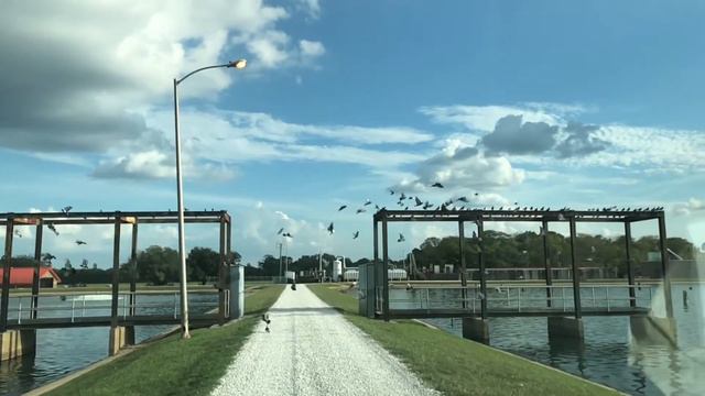 IPhone 8 Plus SLO-MO 1080p At 240 Fps Video Sample смотреть онлайн