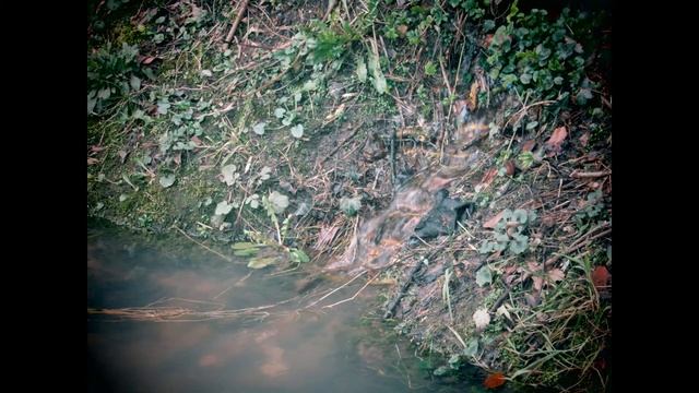 canon powershot sx430 is bridge camera photography part9 смотреть онлайн