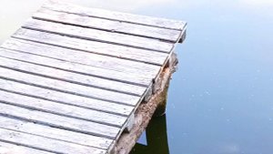 Хрустящие Куры-Гриль! Секрет Быстрого Приготовления!