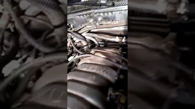 Диагностика lexus gx через дымогенератор. Авто заводится и глохнет. смотреть онлайн