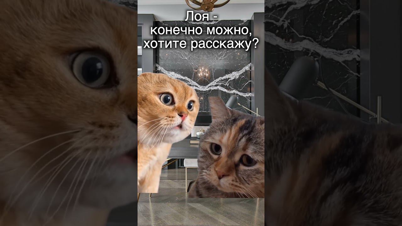 Можно жить без выгорания? #можновсе #психолог #reels #свобода