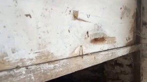 Насесты для кур