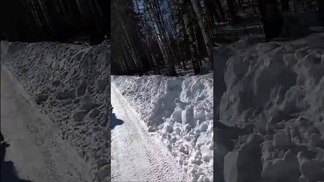 Пытаемся кататься зимой на квадрацыкле и снегоходе смотреть онлайн