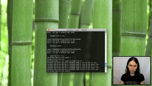 What's so good about Git смотреть онлайн