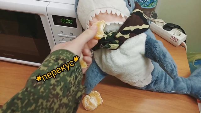 ?Акула из икеа:один день живет жизнью кадета/Алишерка в школе/кадетская жизнь смотреть онлайн