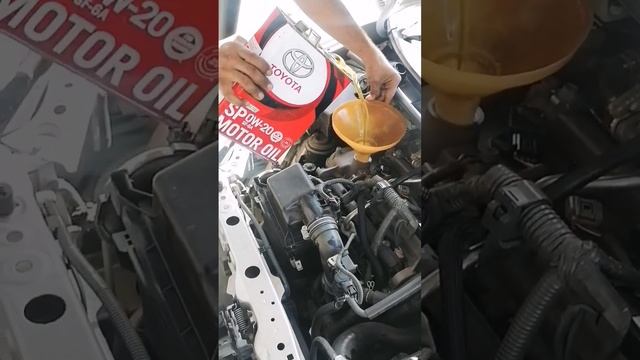 Toyota Genuine Motor Oil 0w20 Fully Synthetic API SP #toyota #lubricant #short #engine #youtube #yo