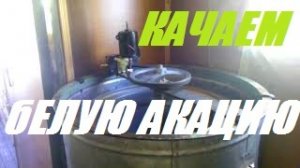 Белая акация 14день.Осмотр 4 корпусного улья.Когда качать мёд_Результат 2019  взятка акации.