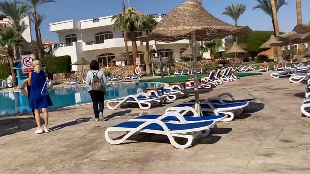 #египет  Tropitel Naama Bay 5* (Тропитель Наама бей, Шарм). Февраль 2021, бары, дискотеки, кальян.