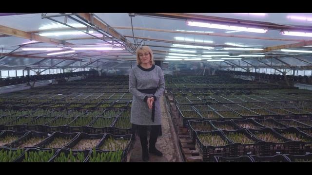 Честный отзыв про «ЦВЕТЫ СИБИРИ» смотреть онлайн