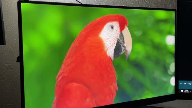 ارخص شاشه بي سي للـ# المطفرين ? مراجعة شاشة بينكيو BenQ смотреть онлайн