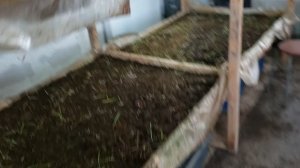 Выращивание червей для рыбалки весь сезон