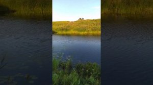 Река Карасук