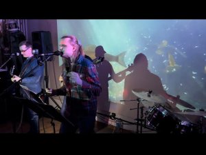 Кавер, Браво - Вася