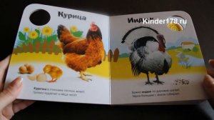 Музыкальная книга "Ферма" Учись и веселись. Азбукварик. Видео-обзор