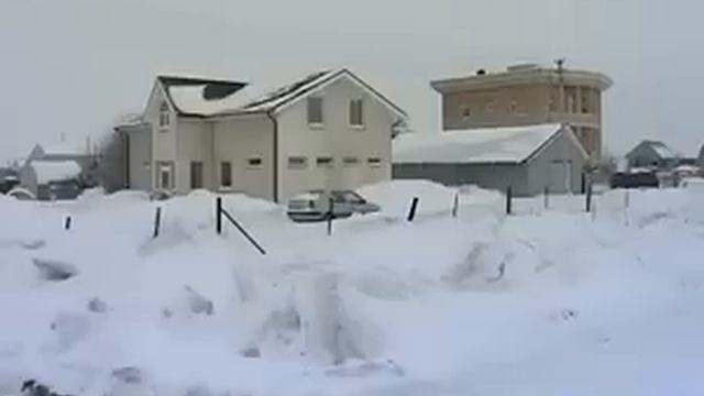 ПРОПАЛА АЛЕНА ЩИПИНА, ЗГОДА (СПБ-24.01.2011).mp4