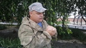 Подражание звукам животных и птиц  воркование голубя