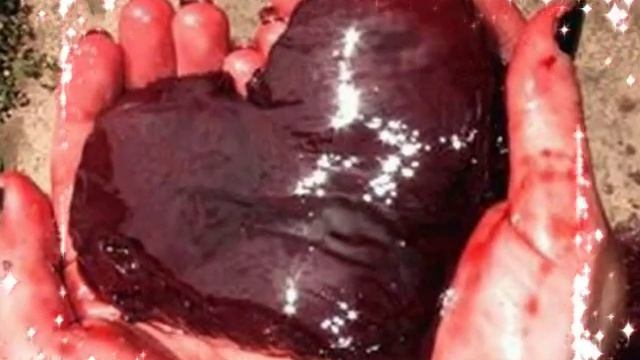 Bachata juan luis guerra mp3 te regalo una rosa смотреть онлайн