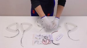 Инструкция по сборке потолочного светильника Lazo 20900-4, Schaffner