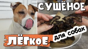 Как приготовить легкое для собак в духовке. Сушеные вкусняшки для собак своими руками