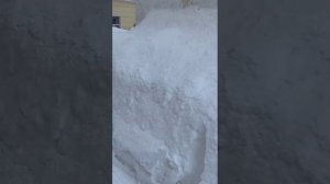 Ликвидация последствий снегопада
