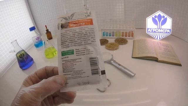 Свекла столовая Мулатка. Поиск смотреть онлайн