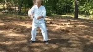 Цигун комплекс Величественный журавль