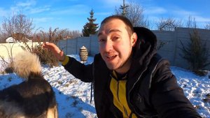 ОПАСНЫЕ ПОКАТУШКИ! Хаски тянет сани / ЯЗЫК ПРИМЕРЗ К ЖЕЛЕЗУ