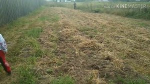Грунтозацепы мой вариант. Копаем картошку...