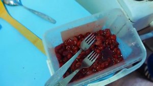 МЯСО В ВИШНЁВОМ СОУСЕ КОТОРОЕ ТАЕТ ВО РТУ ! @ПОДВАЛ ИЛЬИЧА @БОРОДАТЫЕ РЕЦЕПТЫ ВАСИЛИЧА.mp4
