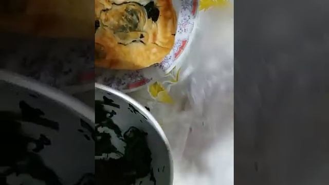 Мастер класс по приготовлению рулетов из шпината (ысманак) смотреть онлайн