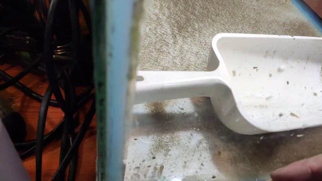 Перезапуск 40 литрового аквариума
