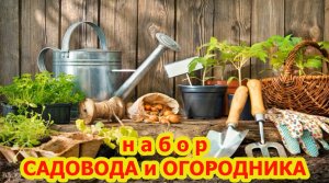 Инструменты для садоводов.