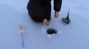 Ловля форели зимой на платнике. д.Арнеево,Карпов пруд.