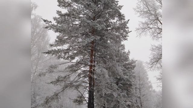 зимушка зима