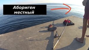 Рыбалка с пирса. Форос. Незнакомая рыба.