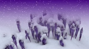 Футаж. Цветы на снегу 60