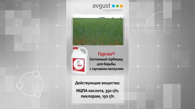 Видеокаталог. Горгон