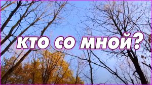 #12   Я в лес. Кто со мной?