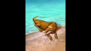 Эволюция китообразных