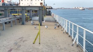 Выгрузка судна в порту и начало контракта | блог моряка