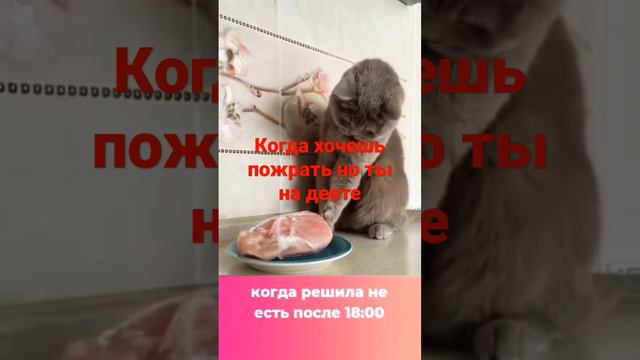 6 января 2023 г. смотреть онлайн