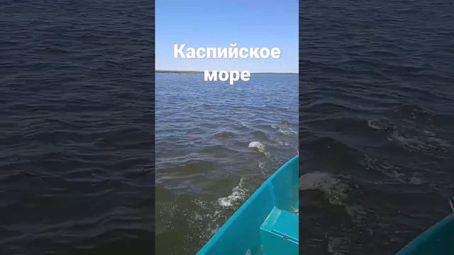 КАСПИЙСЕОЕ МОРЕ