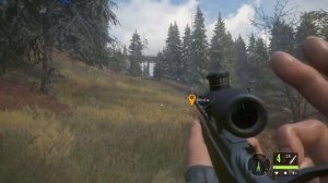 В поисках черного медведя | Не простая охота | The Hunter: Call of the Wild