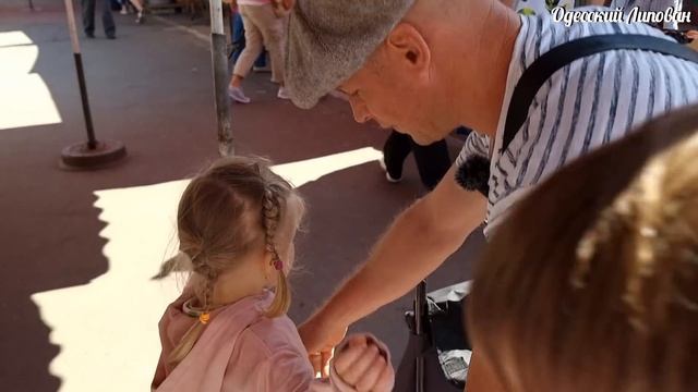 Одесса Рынок СЕНТЯБРЬ ЦЕНЫ!!! Такой ПЕРЕЦ вижу в первый раз смотреть онлайн